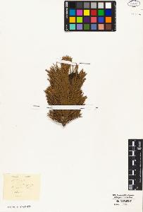 SW_BNB_s3010-01881_IMG-0000000001