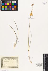 SW_BNB_s3010-01882_IMG-0000000001