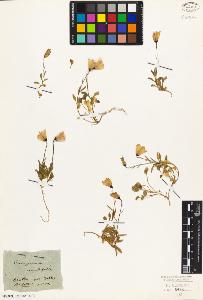 SW_BNB_s3010-01889_IMG-0000000001
