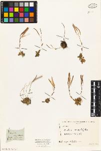 SW_BNB_s3010-01912_IMG-0000000001