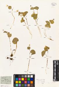 SW_BNB_s3010-01913_IMG-0000000001