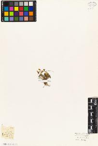 SW_BNB_s3010-01916_IMG-0000000001