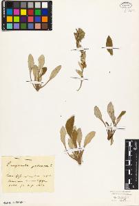 SW_BNB_s3010-01918_IMG-0000000001