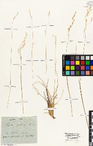 SW_BNB_s3010-01923_IMG-0000000001