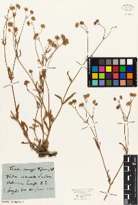SW_BNB_s3010-01925_IMG-0000000001