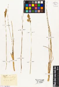 SW_BNB_s3010-01927_IMG-0000000001