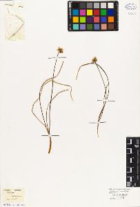 SW_BNB_s3010-01928_IMG-0000000001