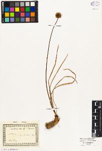 SW_BNB_s3010-01929_IMG-0000000001