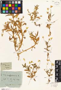 SW_BNB_s3010-01934_IMG-0000000001
