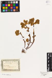 SW_BNB_s3010-01935_IMG-0000000001