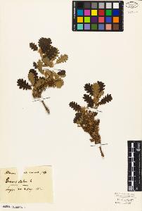 SW_BNB_s3010-01939_IMG-0000000001