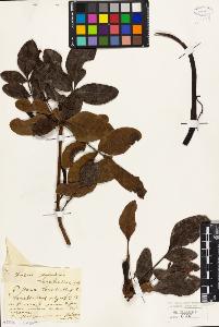 SW_BNB_s3010-01943_IMG-0000000001
