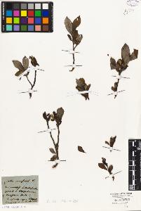 SW_BNB_s3010-01946_IMG-0000000001