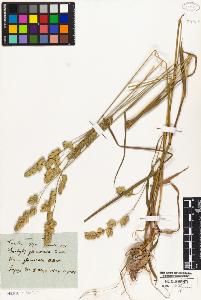 SW_BNB_s3010-01947_IMG-0000000001