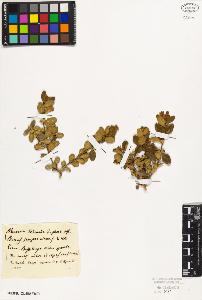 SW_BNB_s3010-01948_IMG-0000000001