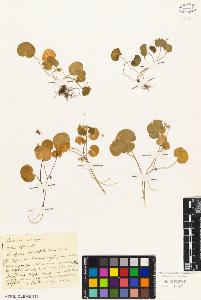 SW_BNB_s3010-01950_IMG-0000000001