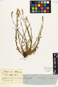 SW_BNB_s3010-01953_IMG-0000000001