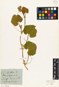 SW_BNB_s3010-01954_IMG-0000000001