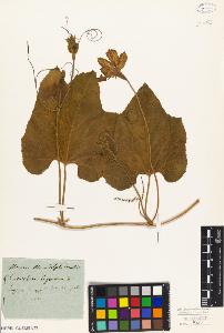 SW_BNB_s3010-01955_IMG-0000000001