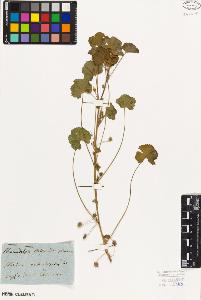 SW_BNB_s3010-01956_IMG-0000000001