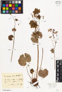 SW_BNB_s3010-01958_IMG-0000000001