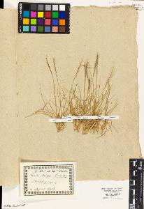 SW_BNB_s3010-01961_IMG-0000000001