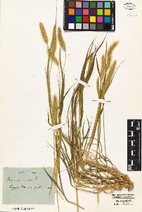 SW_BNB_s3010-01963_IMG-0000000001
