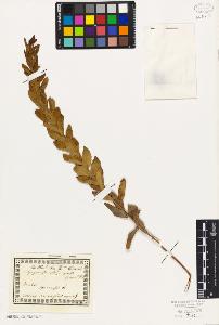 SW_BNB_s3010-01965_IMG-0000000001