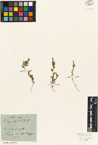 SW_BNB_s3010-01966_IMG-0000000001