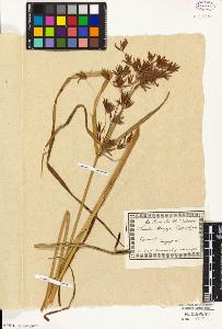 SW_BNB_s3010-01968_IMG-0000000001