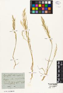 SW_BNB_s3010-01971_IMG-0000000001