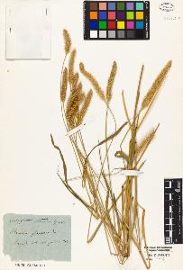 SW_BNB_s3010-01973_IMG-0000000001
