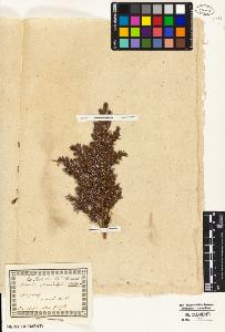 SW_BNB_s3010-01976_IMG-0000000001