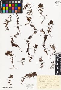 SW_BNB_s3010-01978_IMG-0000000001