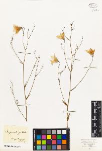 SW_BNB_s3010-01980_IMG-0000000001