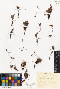 SW_BNB_s3010-01981_IMG-0000000001