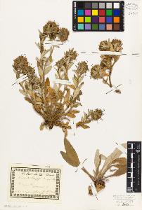 SW_BNB_s3010-01982_IMG-0000000001