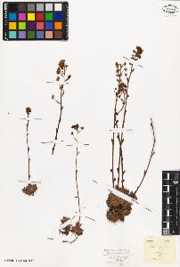 SW_BNB_s3010-01983_IMG-0000000001