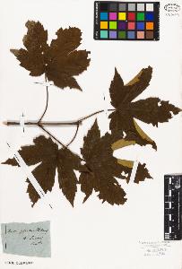 SW_BNB_s3010-01984_IMG-0000000001
