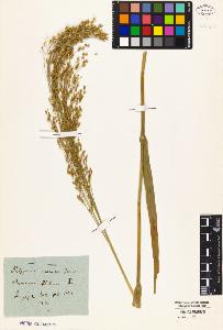 SW_BNB_s3010-01985_IMG-0000000001