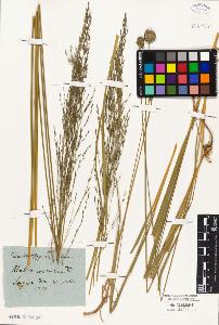 SW_BNB_s3010-01989_IMG-0000000001