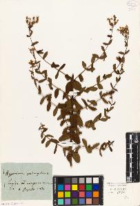 SW_BNB_s3010-01991_IMG-0000000001