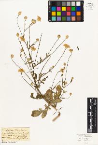 SW_BNB_s3010-01993_IMG-0000000001