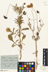 SW_BNB_s3010-01994_IMG-0000000001