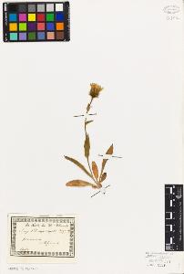 SW_BNB_s3010-01995_IMG-0000000001