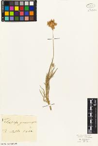 SW_BNB_s3010-01996_IMG-0000000001