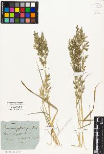 SW_BNB_s3010-01997_IMG-0000000001