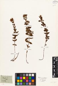 SW_BNB_s3010-01998_IMG-0000000001