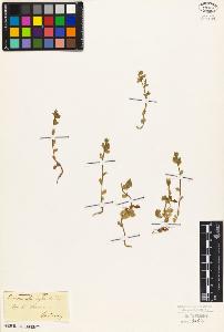 SW_BNB_s3010-02002_IMG-0000000001
