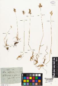 SW_BNB_s3010-02004_IMG-0000000001